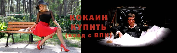 шишки Верхний Тагил