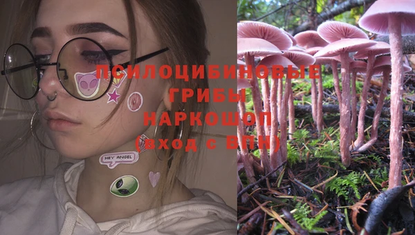 мдпв Кинешма