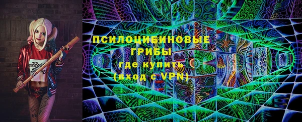 шишки Верхний Тагил