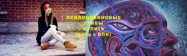 шишки Верхний Тагил